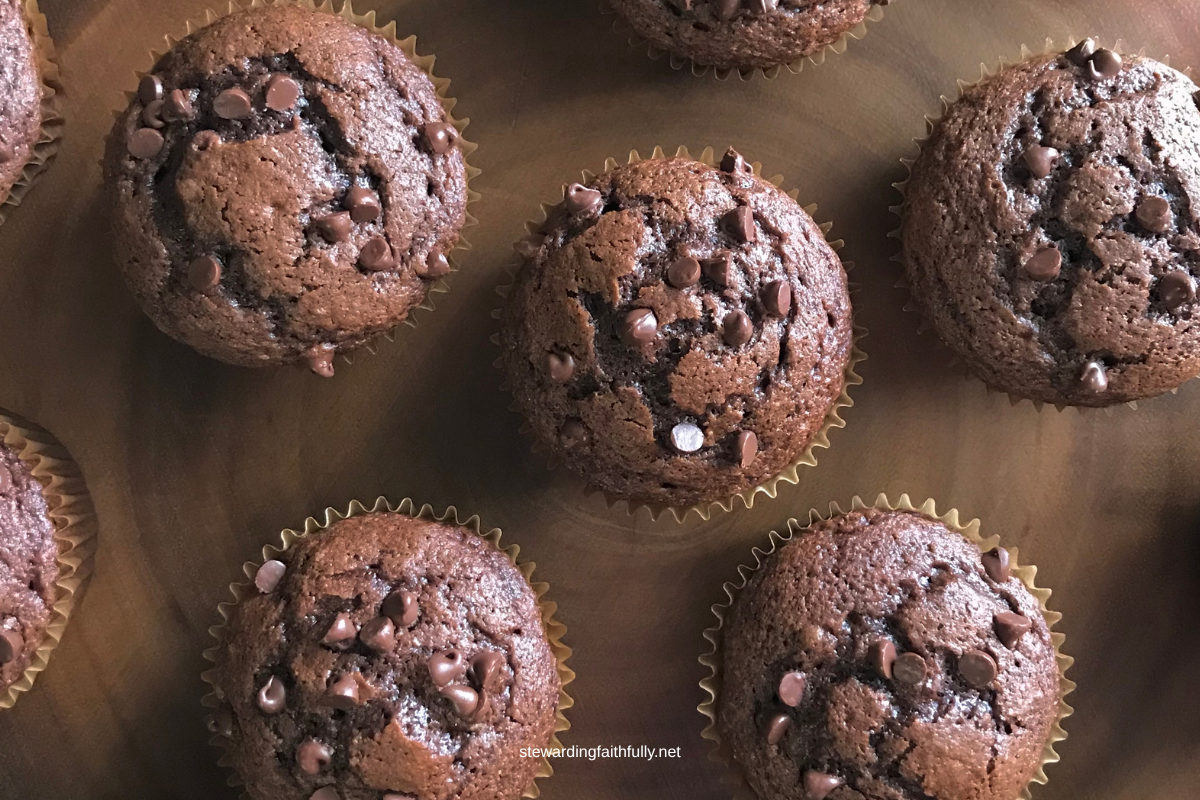 Double Chocolate Chip Muffins with Fresh Milled Flour