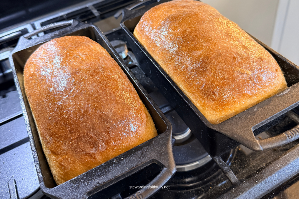 Buttermilk Tangzhong Bread with fresh milled flour