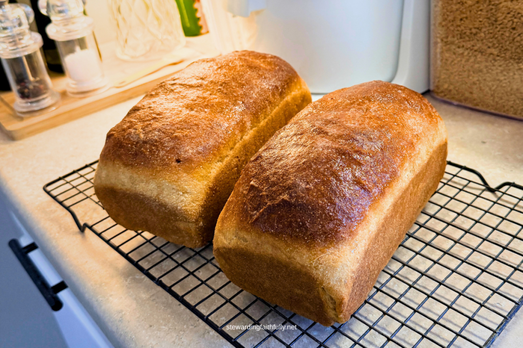 Tangzhong Buttermilk Bread with Fresh Milled Flour